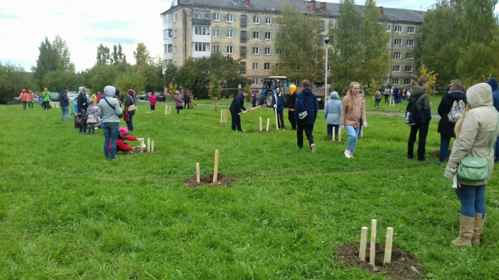 Зеленая акция2610