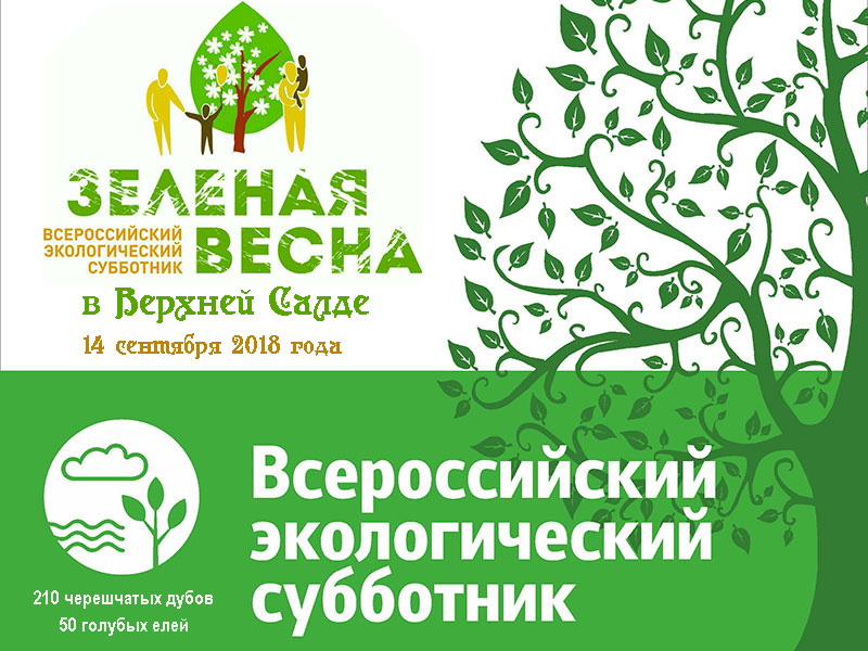 Экологический субботник "Зеленая Россия"