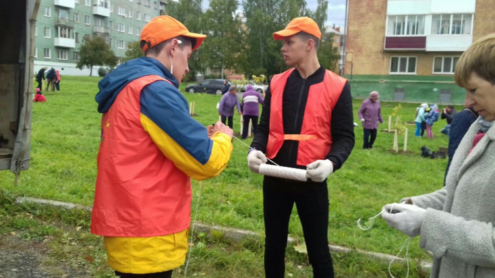 Зеленая акция2571