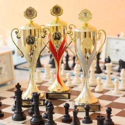 Кубок города Верхняя Салда по шахматам